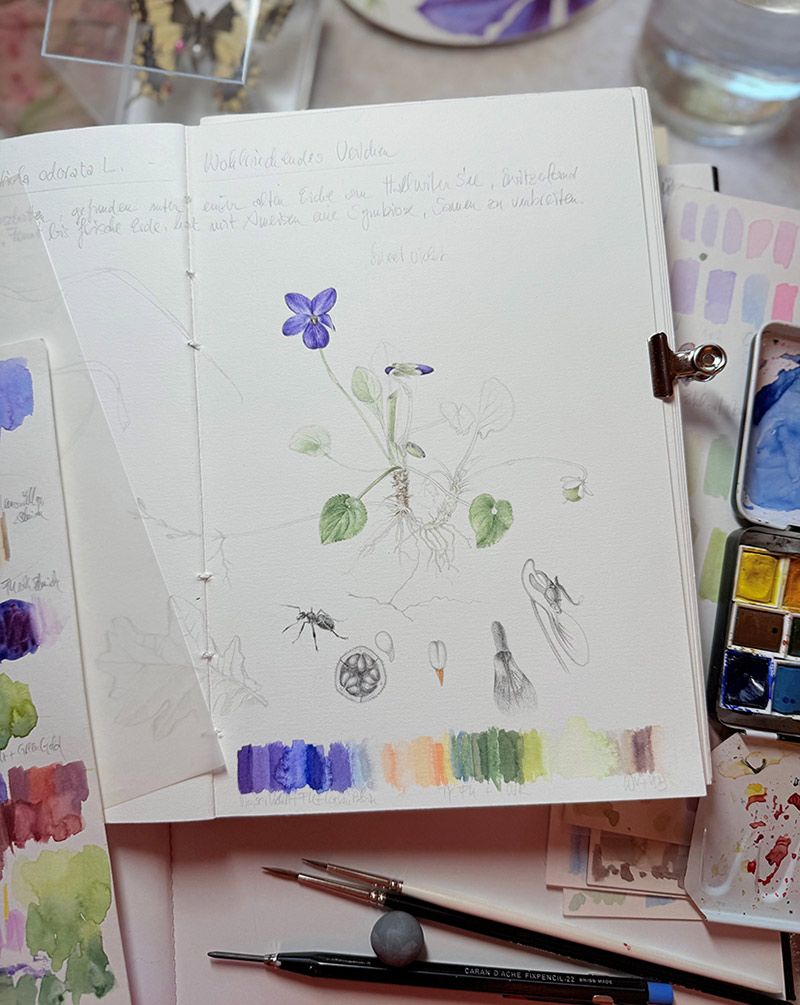 Kurs im Atelier boesner in Münchwilen mit Sonja Beer