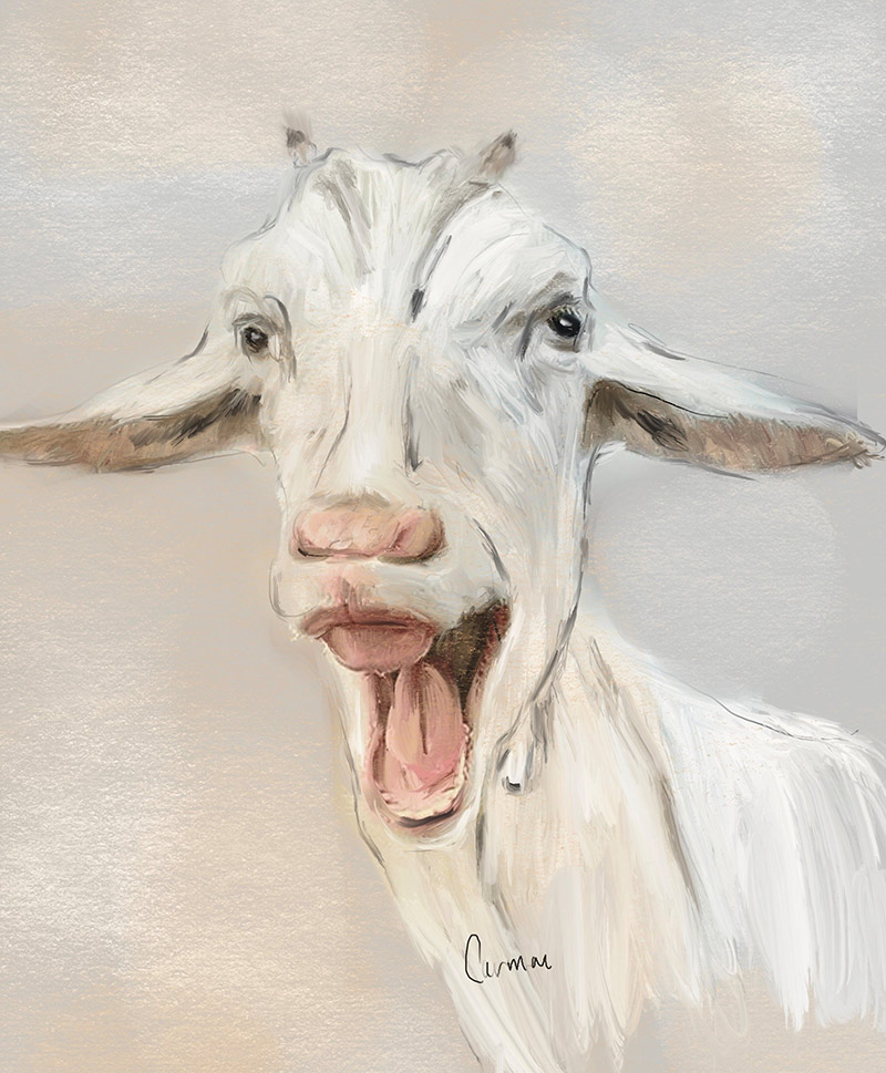 Acrylmalkurs mit Carmen Högger im Atelier boesner in Unterentfelden