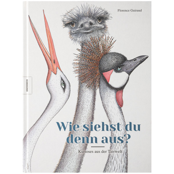 Knesebeck Verlag Wie siehst du denn aus?