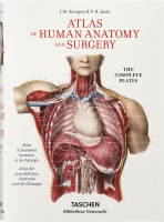 Bourgery – Atlas of Human Anatomy and Surgery (Jean-Marie Le Minor, Henri Sick (Hrsg.)) | Taschen Vlg.