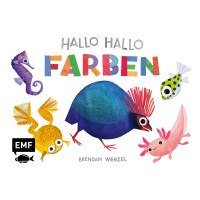 Hallo Hallo Farben | Brendan Wenzel | EMF 2024