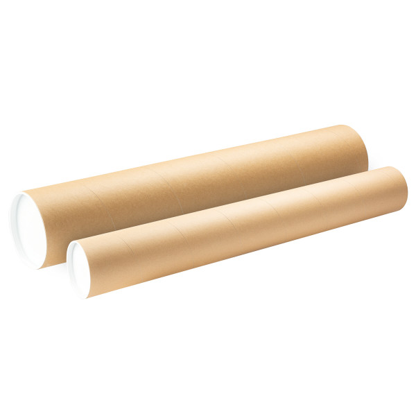 Ars Nova Transportrolle