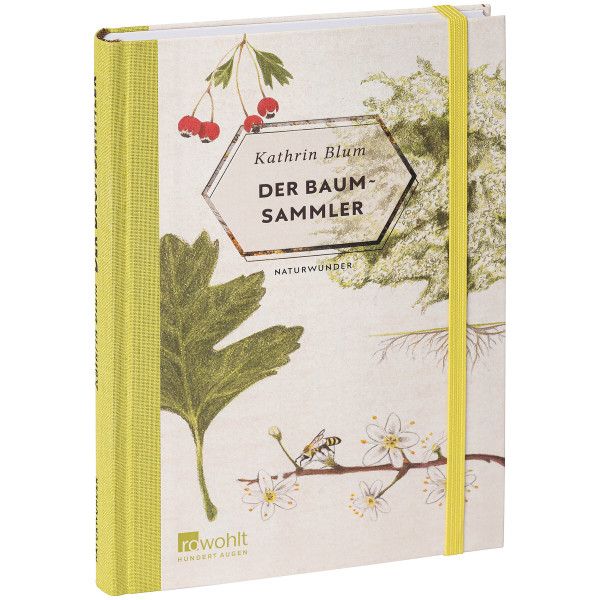 Rowohlt Verlag Der Baumsammler