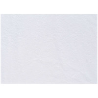 Tengucho | Awagami-Japanpapier