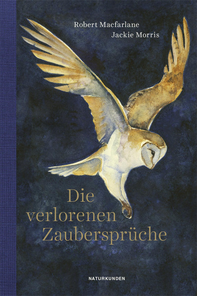 Matthes & Seitz Verlag Die verlorenen Zaubersprüche