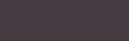 Warm Grey 09
