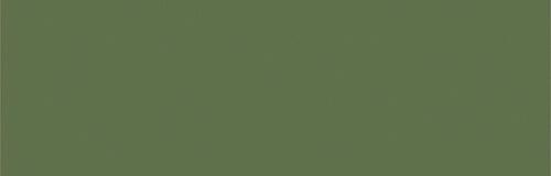 Ger. Cam Bright Green