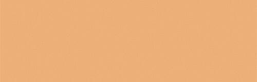 Sunny Skin Tone