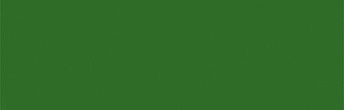 Medium Olive