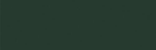 Yellow Olive
