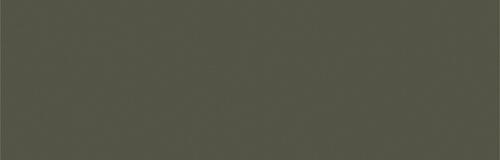 CamOlive Green