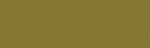 Camouflage Green