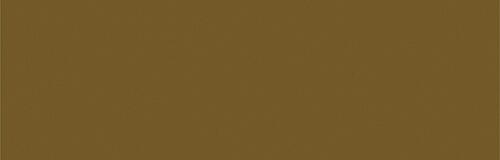 Beasty Brown