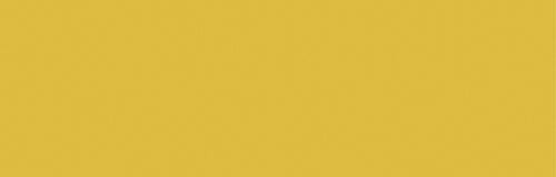 Polished Gold