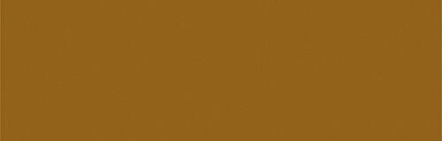 Bright Bronze