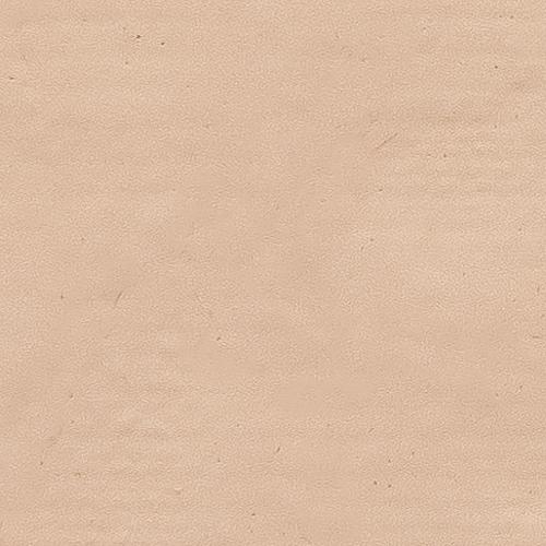 Noisette