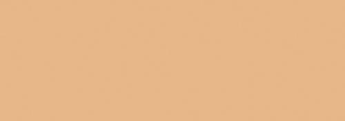 Apricot Orange