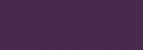 Dark Violet