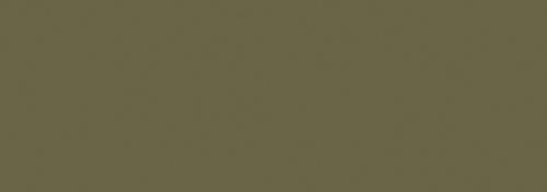 Olive Green Dark
